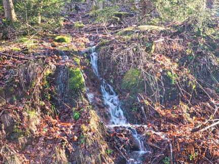 20220205202147-00264589